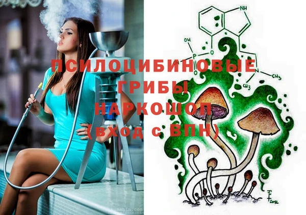 мяу мяу мука Арсеньев